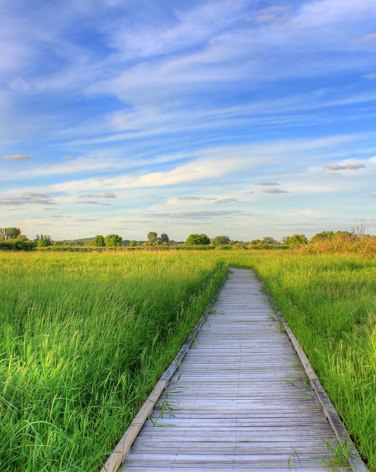 Gfp Wisconsin Madison The Nature Boardwalk