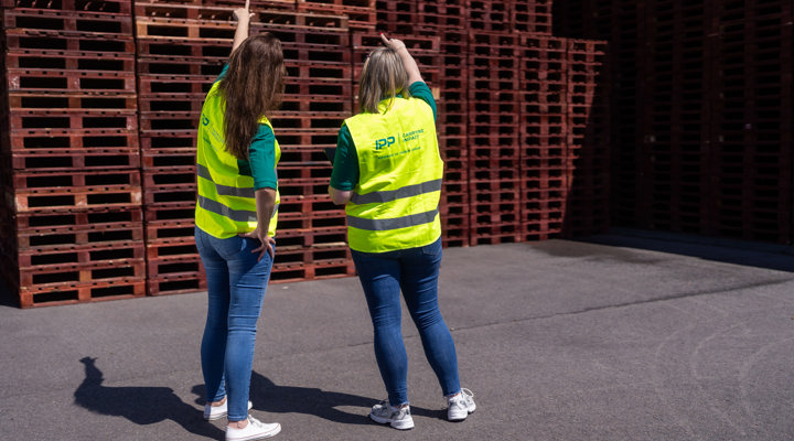 IPP 050713110201207SVS