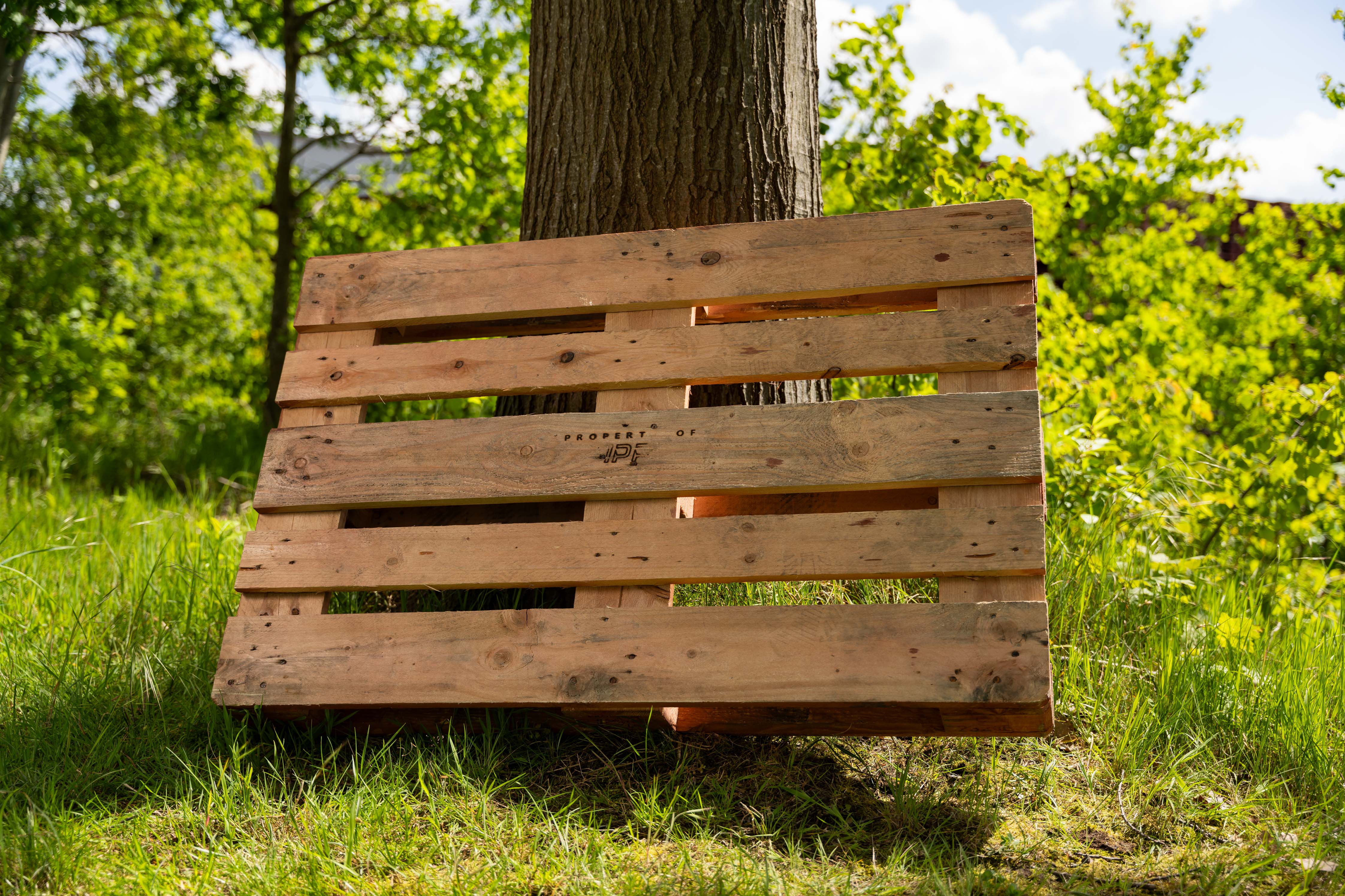 IPP 050714180901821SVS